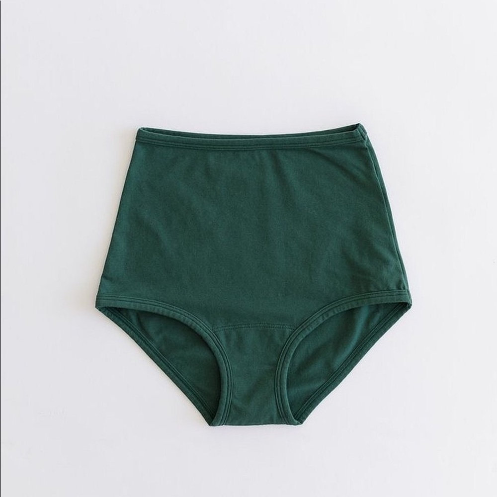 ARQ High Rise Undies NWT in Fern